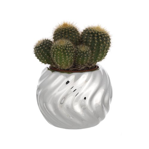 Portavaso sferico diam. 6 cm in resina argentata con decorazione ondulata e piantina grassa