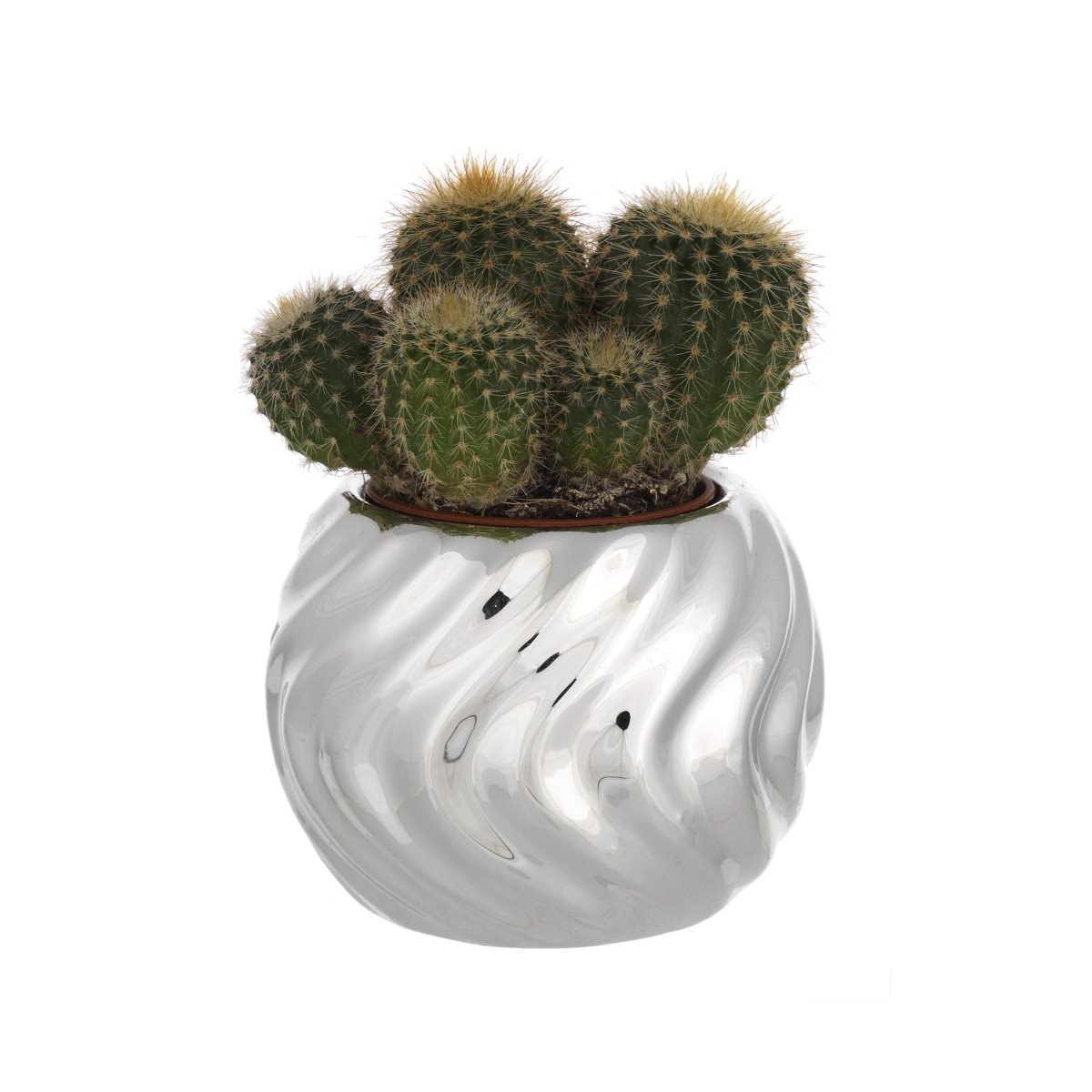 Portavaso sferico diam. 6 cm in resina argentata con decorazione ondulata e piantina grassa